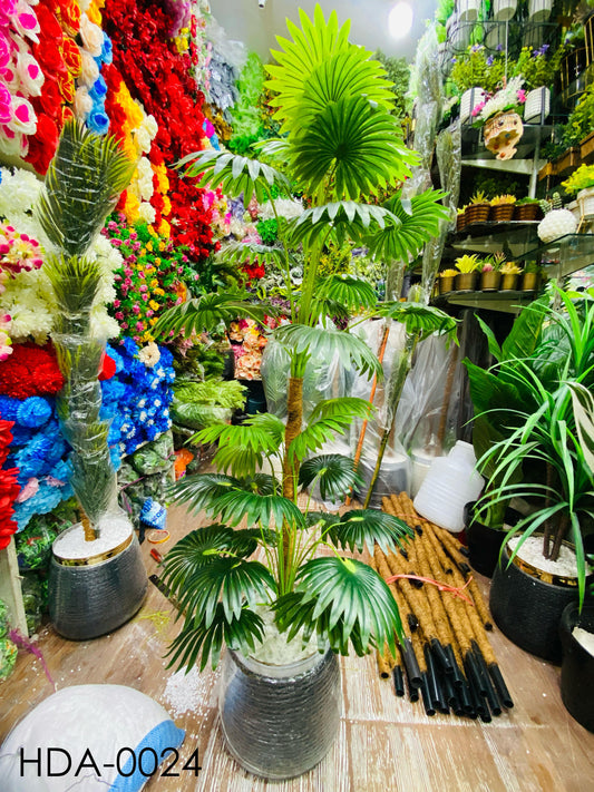 ELEGANT FAN PALM DISPLY WITH BLACK POT